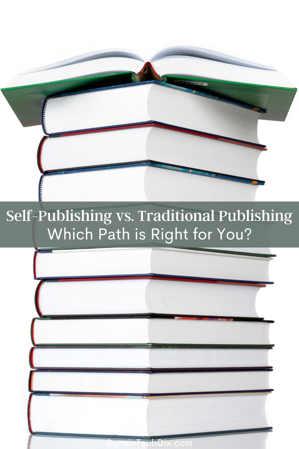 Self-Publishing vs. Traditional Publishing: Which Path is Right for You? | A discussion on whether self-publishing or going the traditional route with a publisher is better for a first time author.